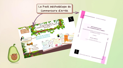 Pack Méthodologie du Commentaire d'Arrêt (Ouvrage + Cartes Mentales) | PDF |