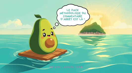 Pack Méthodologie du Commentaire d'Arrêt (Ouvrage + Cartes Mentales) | PDF |