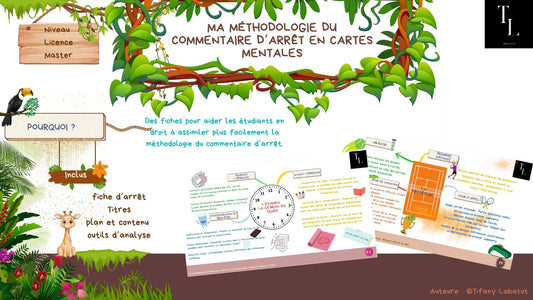Ma Méthodologie du Commentaire d'Arrêt en Cartes Mentales | PDF |